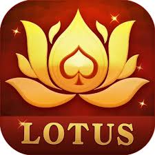 teen patti all aps download
